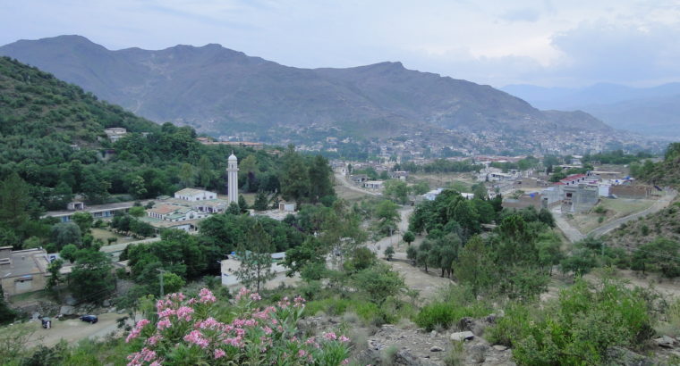 Saidu Sharif